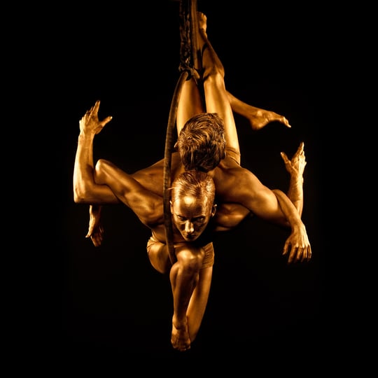 Duo D&A - Aerialist / Circus and Acrobatic in Franklin, TN
