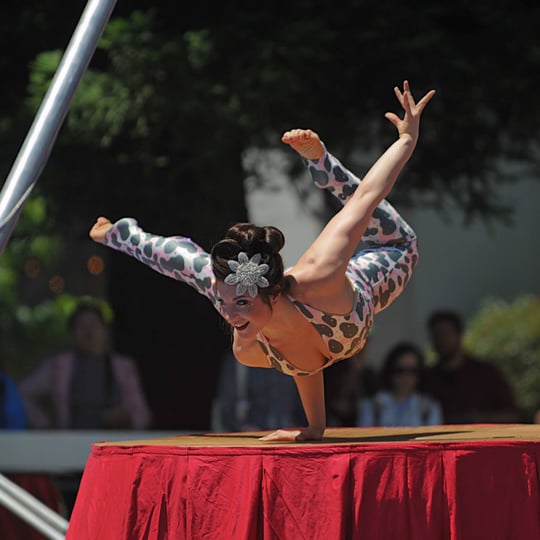 Dwoira Galilea - Contortionist / Circus and Acrobatic in San Francisco, CA