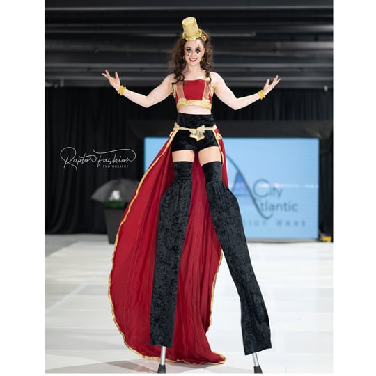 Egret Stilts - Stilt Walker / Circus and Acrobatic in Allenwood, NJ