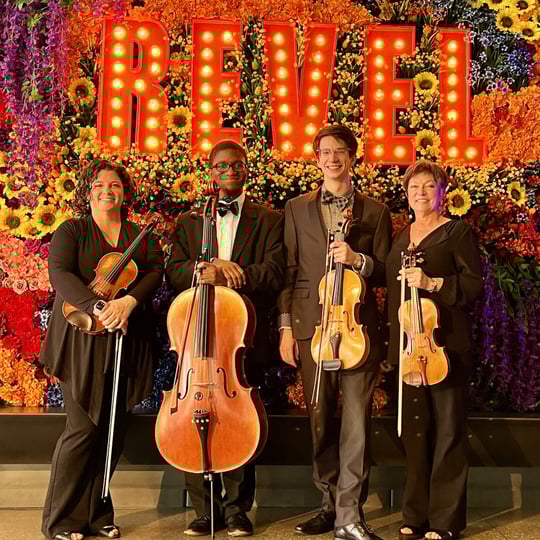 Elegant Entertainment - String Quartet / Classical Duo in Dayton, OH
