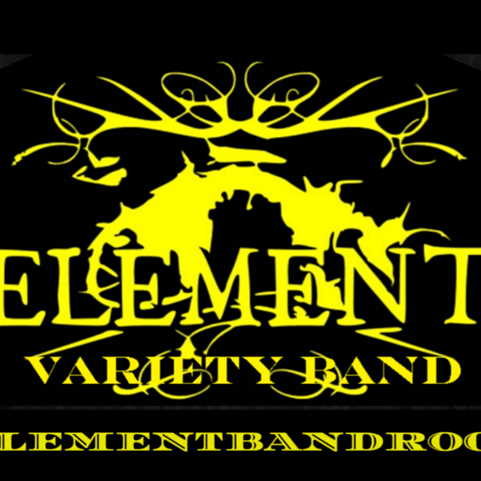 Element Variety Band - Wedding Band in Papillion, NE