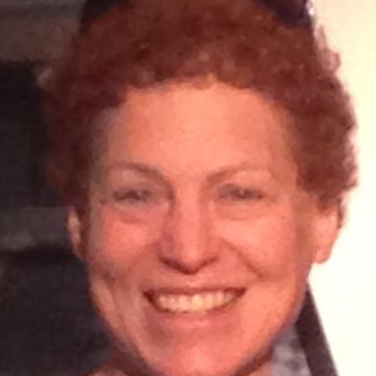 Ellen Gould - Singing Guitarist / Wedding Musicians in Cincinnati, OH