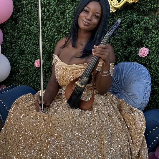 Noble Music Group - Violinist / Hip Hop Artist in Beverly Hills, CA