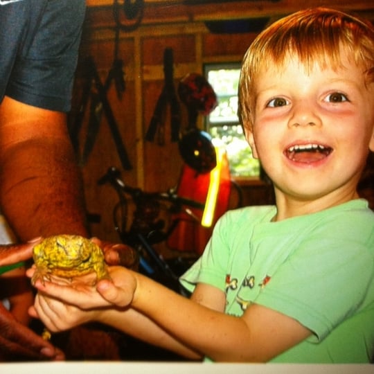 Fangs, Frogs and More - Reptile Show / Educational Entertainment in Towson, MD