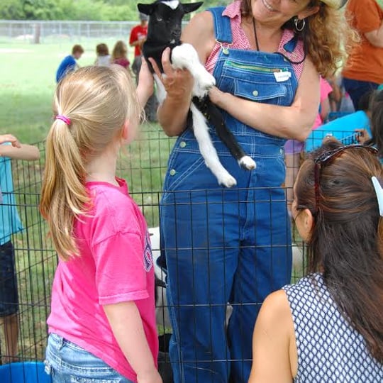 Fannie's Farm Friends Mobile Petting Zoo - Petting Zoo in Liberty Hill, TX