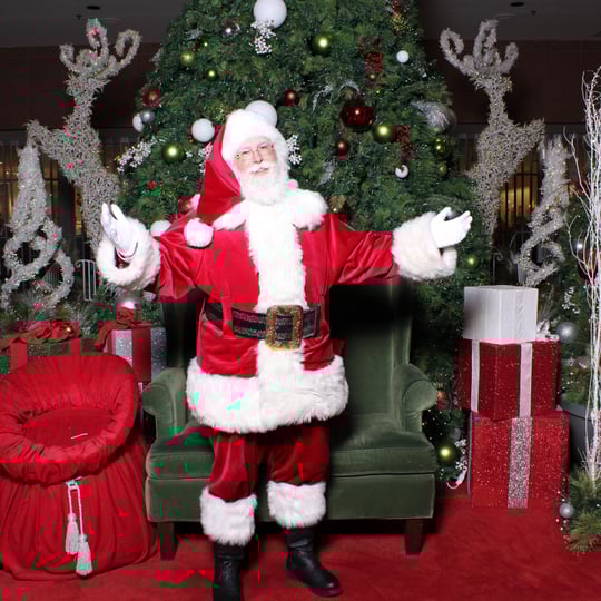 The Nations Capital Santa - Santa Claus in Alexandria, VA