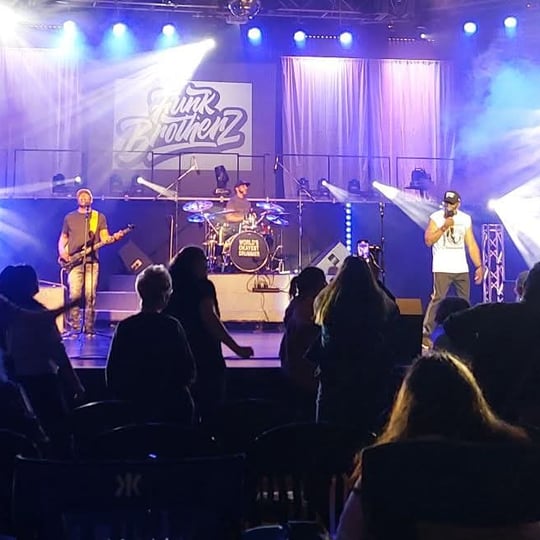 Funk Brotherz - Cover Band / Corporate Event Entertainment in Elgin, IL