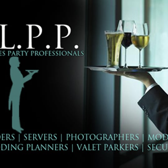 Great Lakes Party Professionals - Waitstaff / Wedding Photographer in Birmingham, MI