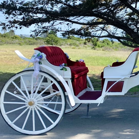 Hackney Horse & Carriage - Horse Drawn Carriage / Animal Entertainment in Penngrove, CA