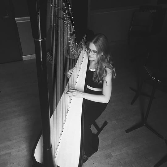 Becca Schaefer, Harpist - Harpist in Phoenixville, PA
