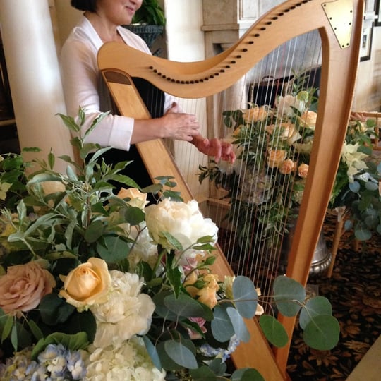 Harpist Judy Saiki - Harpist in Parsonsfield, ME