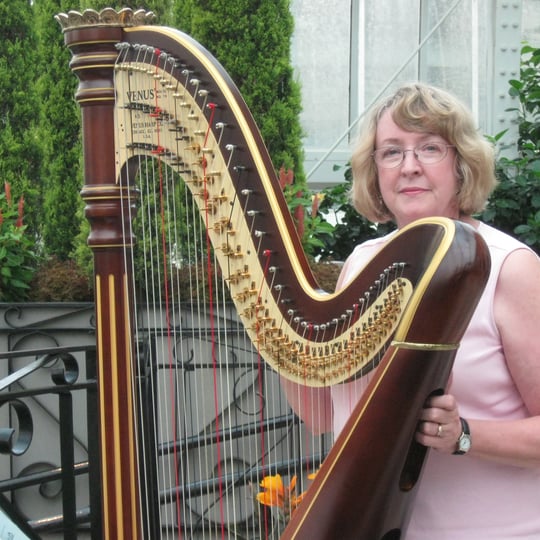 Harpist Serena O'Meara - Harpist in Eau Claire, WI