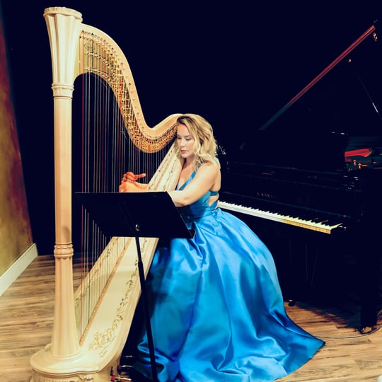 Erica Messer, Harpist, Singer, Pianist - Harpist / Educational Entertainment in San Francisco, CA