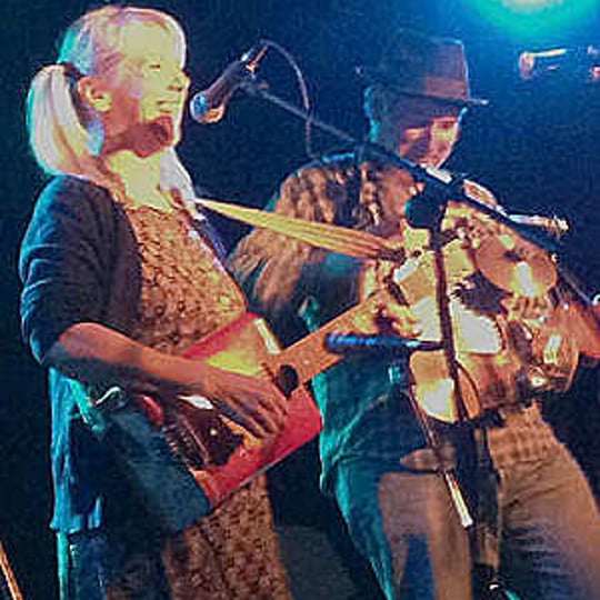 Heart of a Tinman - Acoustic Band in Minneapolis, MN