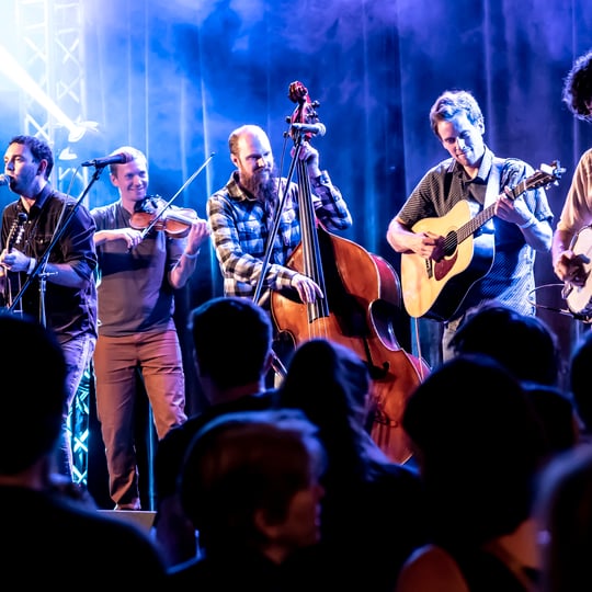 The Warren G. Hardings - Bluegrass Band in Seattle, WA