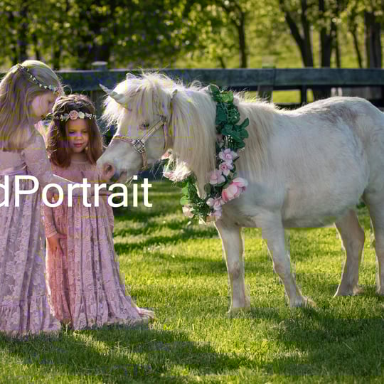 Hogback Mountain Pony Rides, LLC - Pony Party in Leesburg, VA