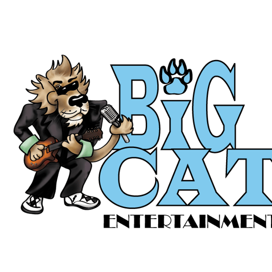 Big Cat Entertainment - DJ / Corporate Event Entertainment in Mundelein, IL