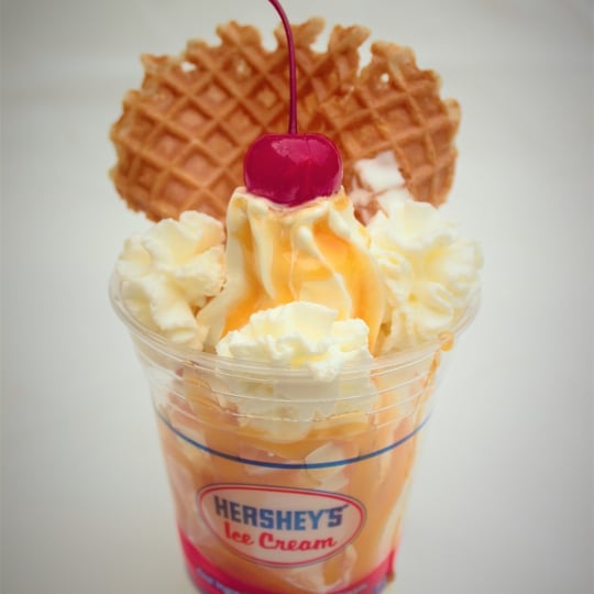 Ice Cream Truck - Caterer in Salisbury, NC