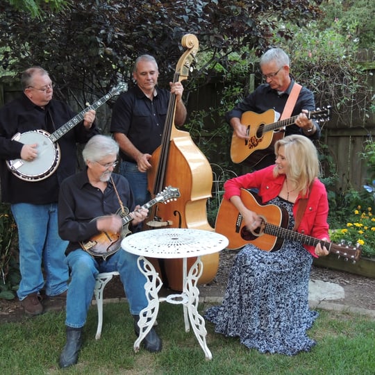 Illinois rail - Bluegrass Band in Normal, IL