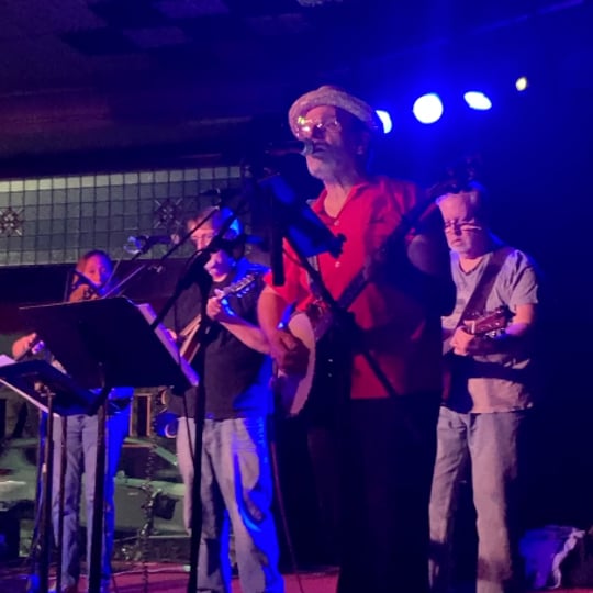 Jamgrass Project - Acoustic Band in Oak Park, IL