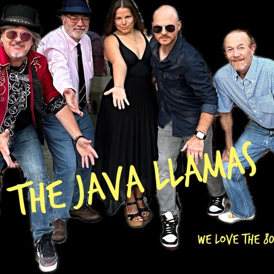 Java Llamas - 1980s Era Entertainment in Waxahachie, TX