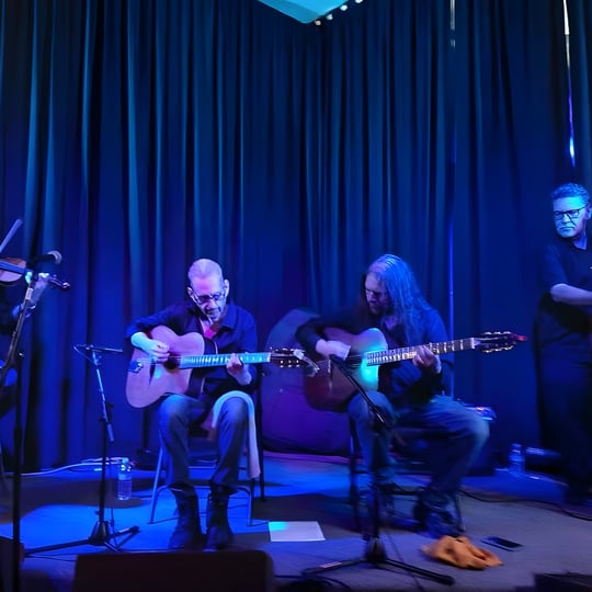 Jazz Gitan - Acoustic Band / Jazz Band in Camino, CA