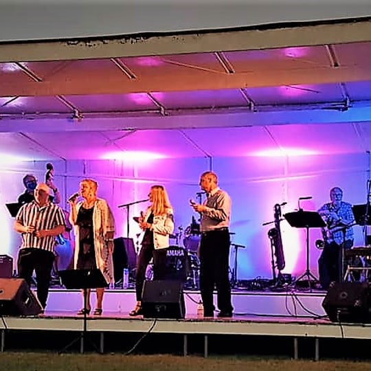 Jazz Spectrum Vocal Quartet - Jazz Singer / 1950s Era Entertainment in Mundelein, IL