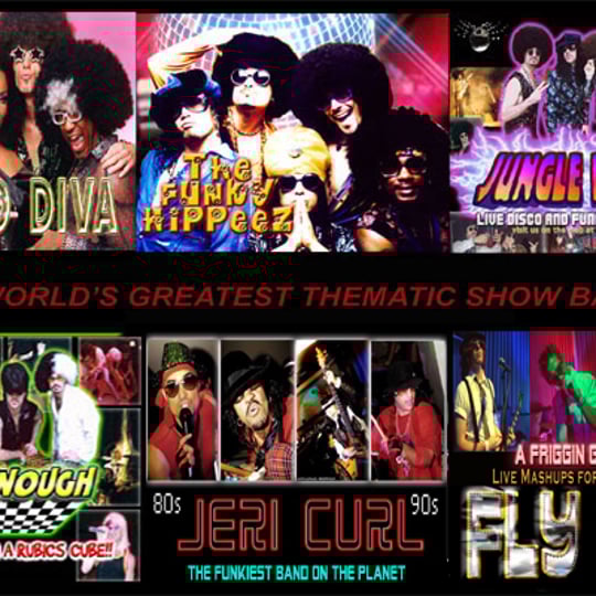Thematic Productions - Dance Band / 1960s Era Entertainment in Glendale, CA