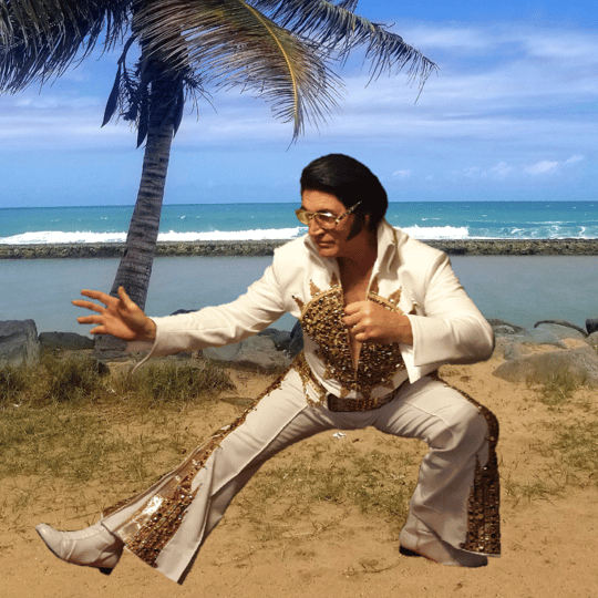 Jimmy Smith - Elvis Impersonator / Impersonator in Aiken, SC