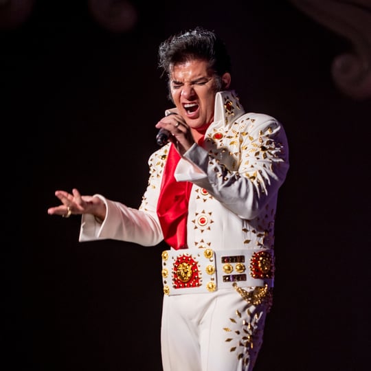 Johnny Dez - Elvis Impersonator in Winston-Salem, NC