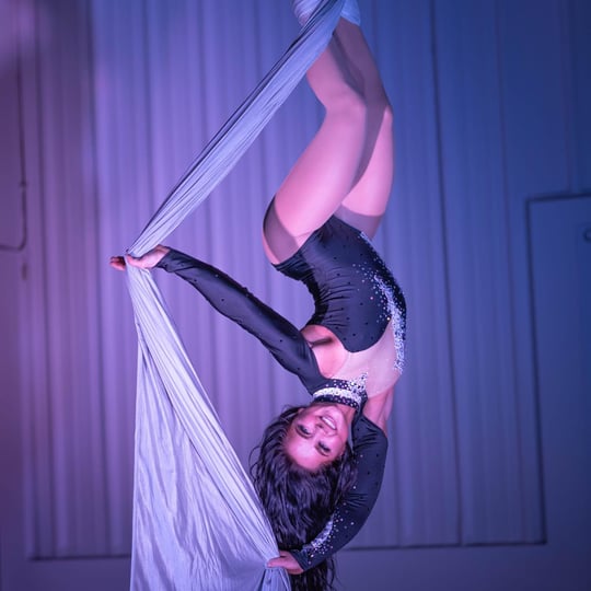 Joie - Aerialist / Circus and Acrobatic in Wheaton, IL