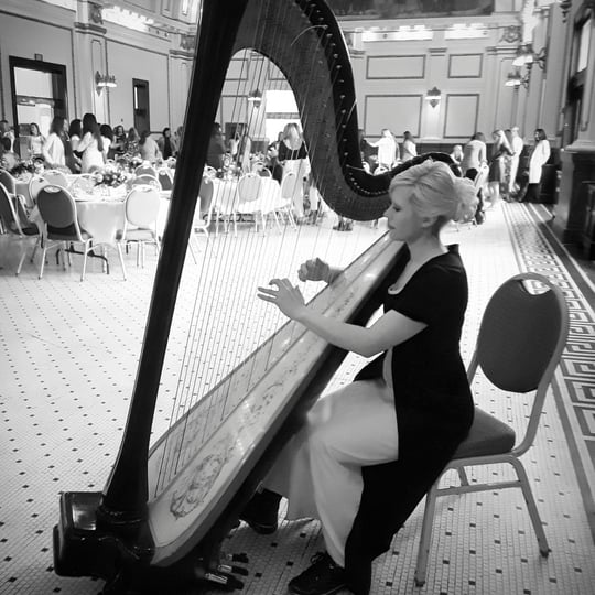 Julie ni Hewkin, Harpist and Vocalist - Harpist in Salt Lake City, UT