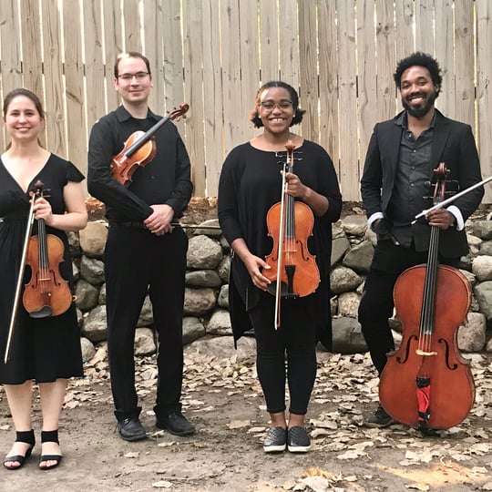 KalHaven Strings - String Quartet in Kalamazoo, MI