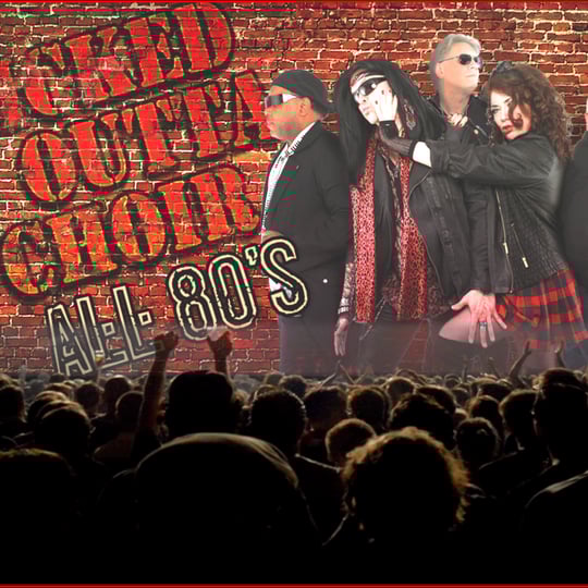 Kicked Outta Choir - Party Band in Woodridge, IL