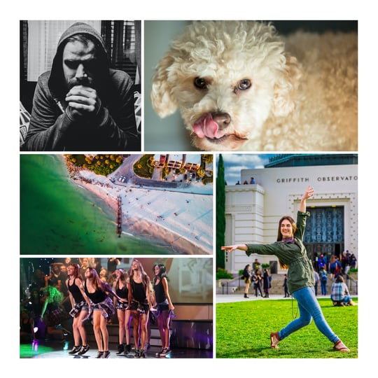 KM Photography - Photographer in Las Vegas, NV