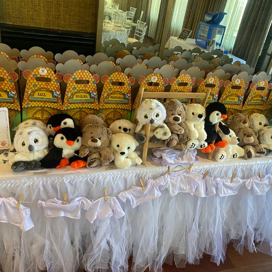 Parties Galore by Kuddles & Company - Face Painter / Family Entertainment in East Meadow, NY