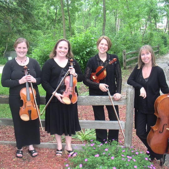 Lakeside Strings - String Quartet in New Berlin, WI
