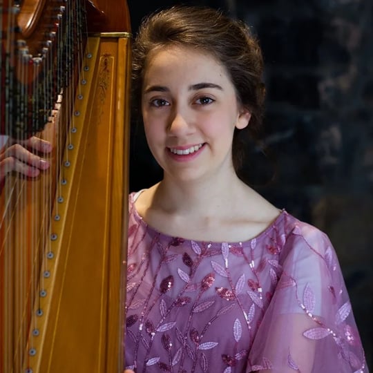 Lauren Swain, Harpist - Harpist / Oldies Music in Needmore, PA