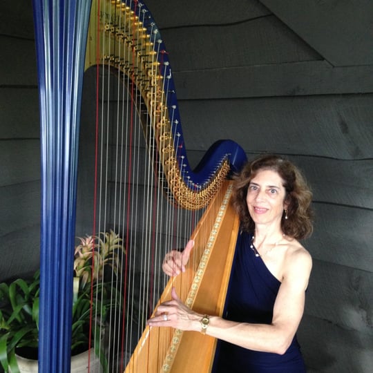 Harpnotes - Harpist in Atlanta, GA