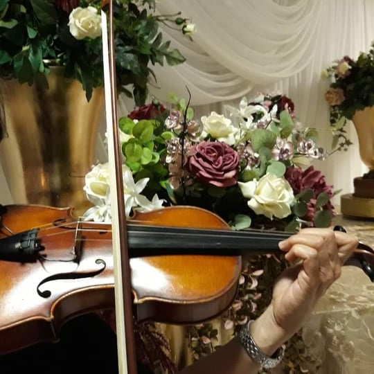 Lissette Torres, Violinist - Latin Jazz Band / Wedding Musicians in Corpus Christi, TX