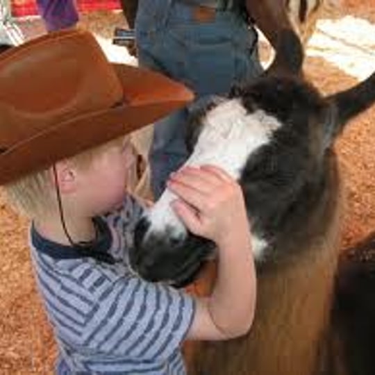 LittleOne Zoo - Animal Entertainment / Petting Zoo in Gainesville, FL