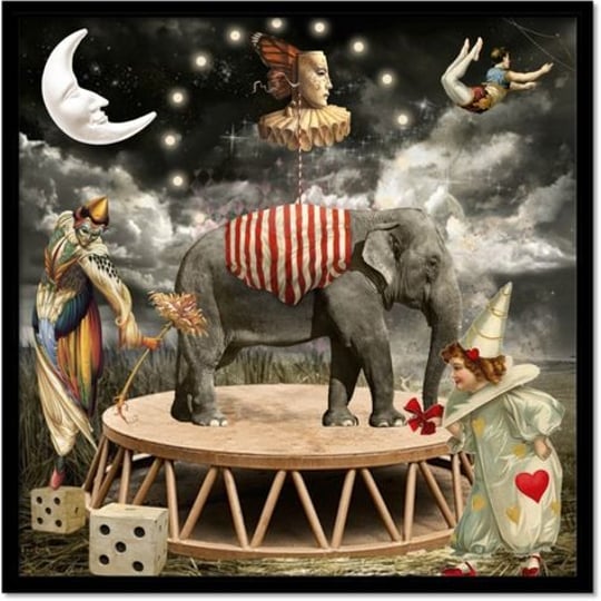 Live-305 Entertainment - Circus Entertainment / Circus and Acrobatic in Hollywood, FL