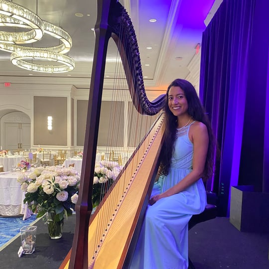 LivThroughMusic - Harpist in Ellenton, FL