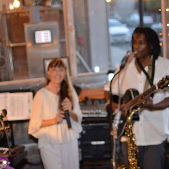 Lucia, Levi and the Little Zippers - Cover Band / Party Band in Florence, SC