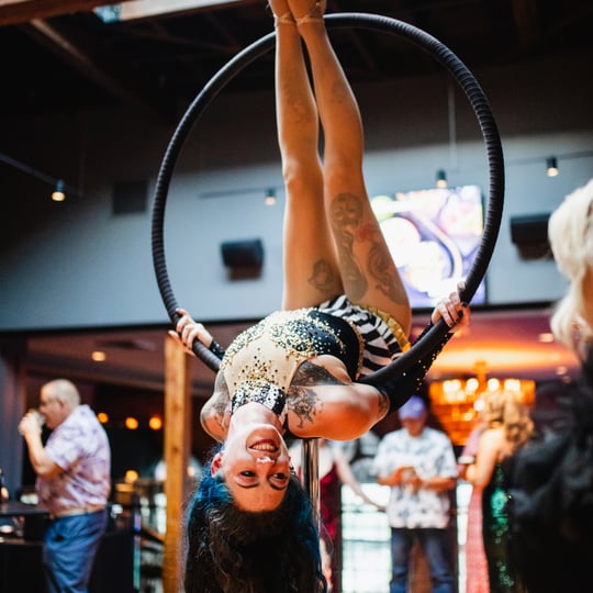 Lunar Movement - Aerialist / Burlesque Entertainment in Manchester, NH