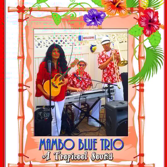 Mambo Blue Latin Band - Latin Band in New York City, NY