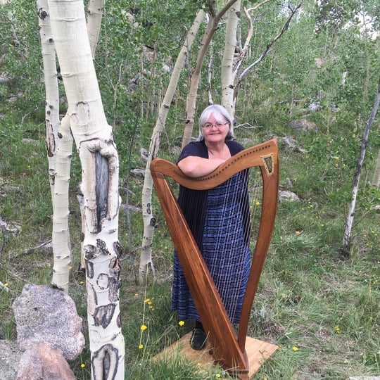 Marianne Goodland, Celtic Harpist - Harpist in Denver, CO