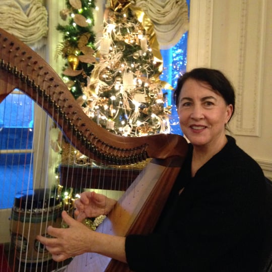 Mary King - Harpist / Celtic Harp - Harpist in Smithfield, RI