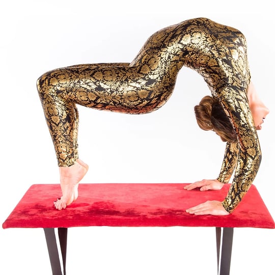 Mega Aerials - Contortionist / Circus and Acrobatic in San Francisco, CA