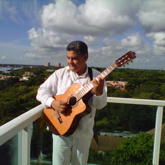 Miami Wedding Guitarist & Bands - Guitarist in Miami, FL